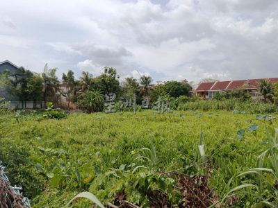 国小旁荒地高风险 彭心慈建议造“昌明操场”