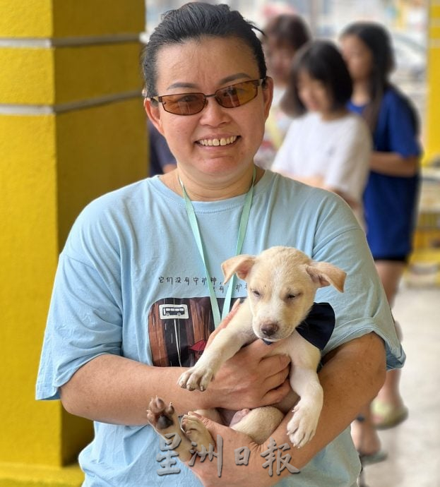 【带你去找爱】:黑白“狗生”因你的爱而有色彩!