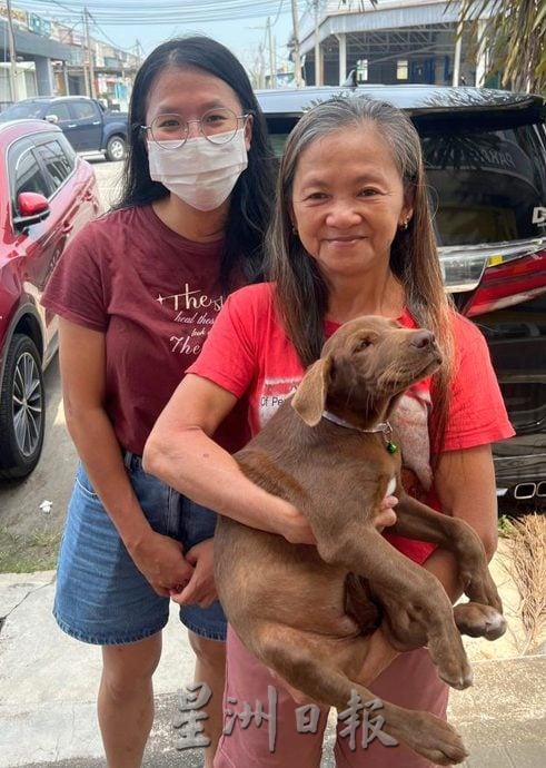 【带你去找爱】:黑白“狗生”因你的爱而有色彩!