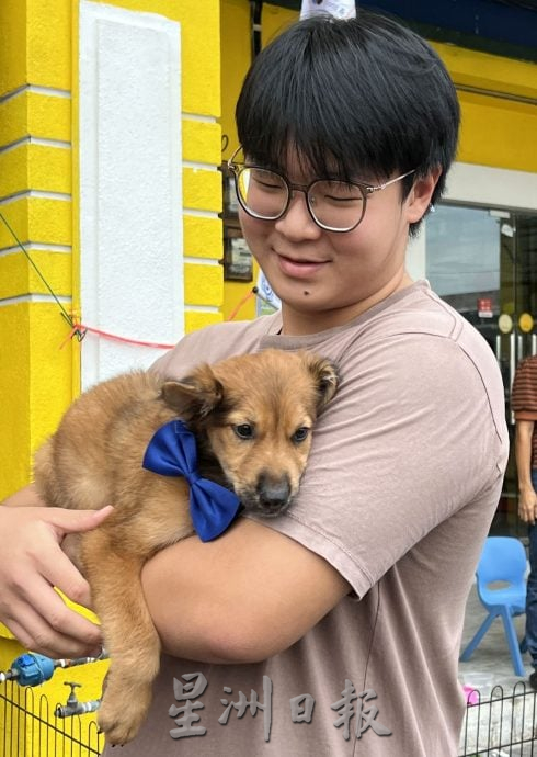 【带你去找爱】:黑白“狗生”因你的爱而有色彩!