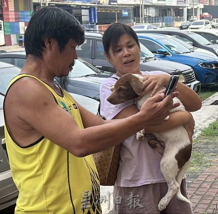 【带你去找爱】:黑白“狗生”因你的爱而有色彩!