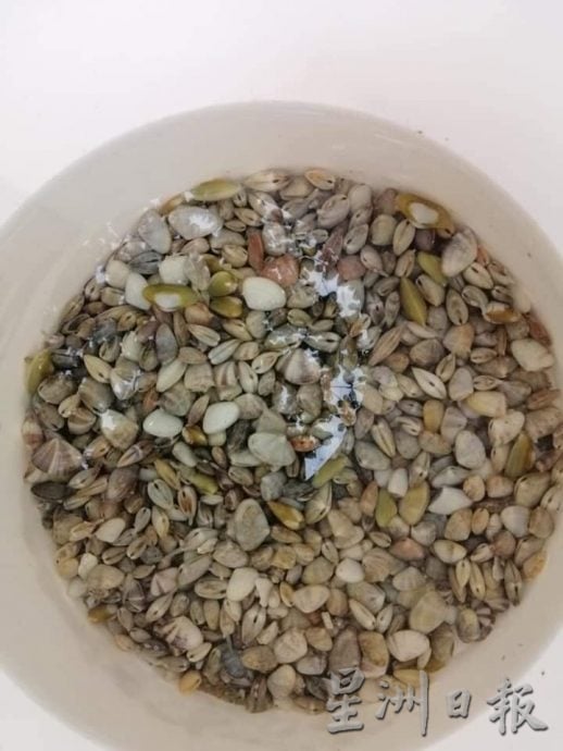 (25/7见报) 半岛心旅行 - 去一趟没有湖的“美湖” 