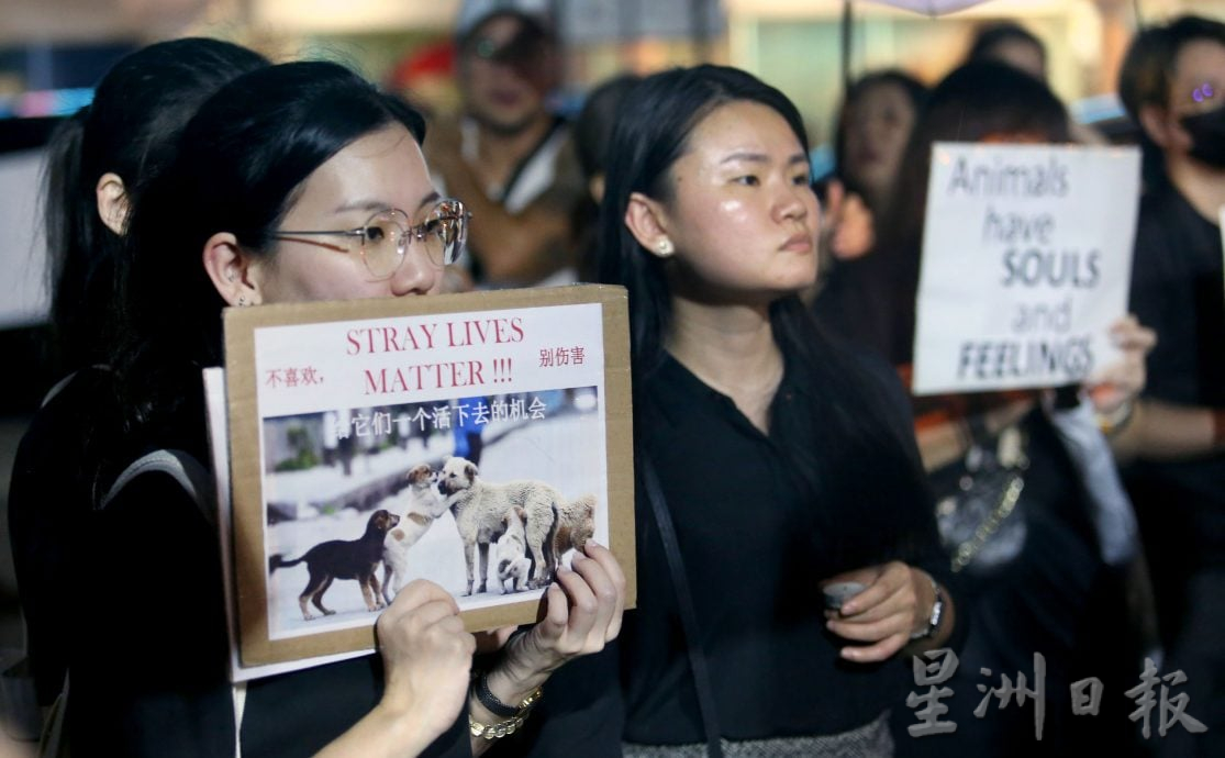 雨中默哀不离场 怡爱狗人士为狗守夜
