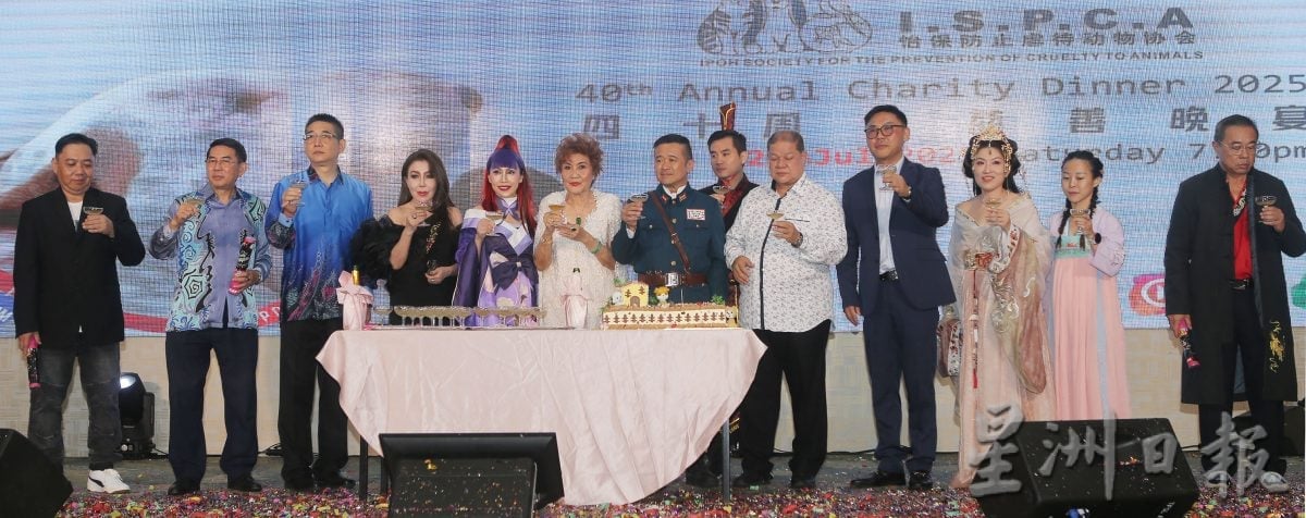 宋玮钊:当局不再人道对流浪狗 TNRM落实7年 宣告失败