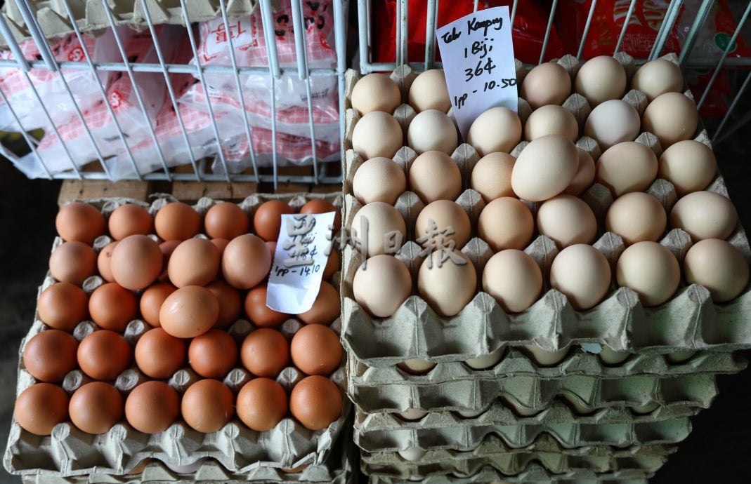 东:8月1日开始取消鸡蛋补贴,采取价格浮动机制