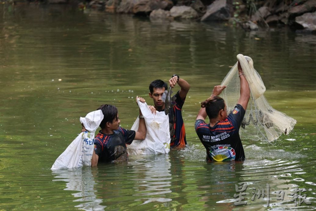 大都会(版2头)/外来鱼入侵城市河流,捕捞的90%鱼种都是外来鱼