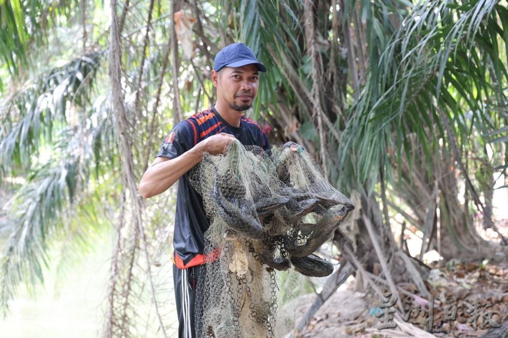 大都会(版2头)/外来鱼入侵城市河流,捕捞的90%鱼种都是外来鱼