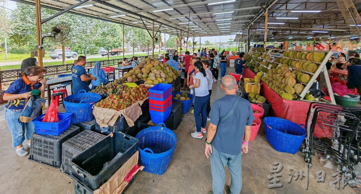 柔:半岛心旅行(8月1日见报):来“小福州”永平赴果王之约,享美食游神庙景点