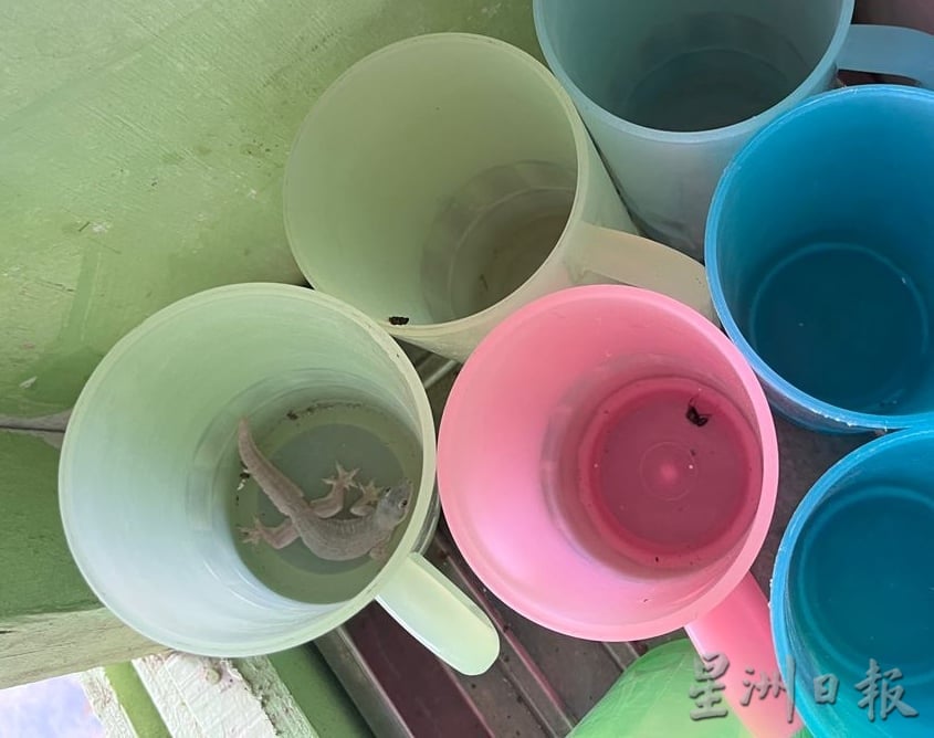 劳工宿舍脏乱，员工如厕洗澡毫无私隐