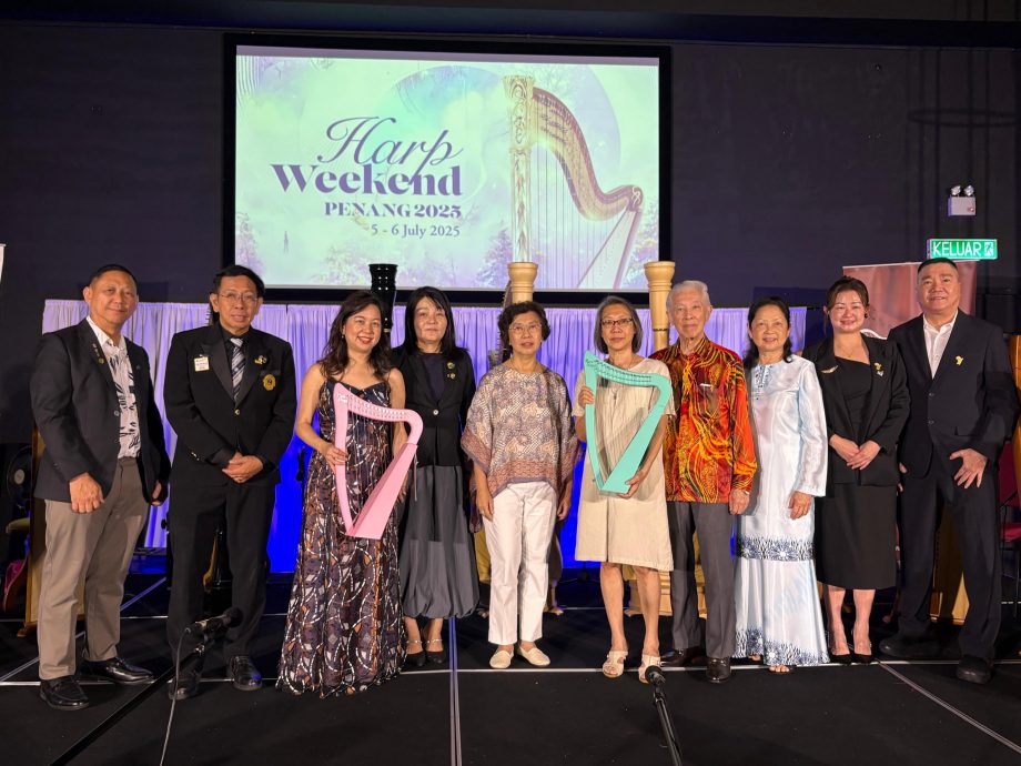 VIP文(大北马)北赖中央狮子会“竖琴余音” 如意之家儿童演出