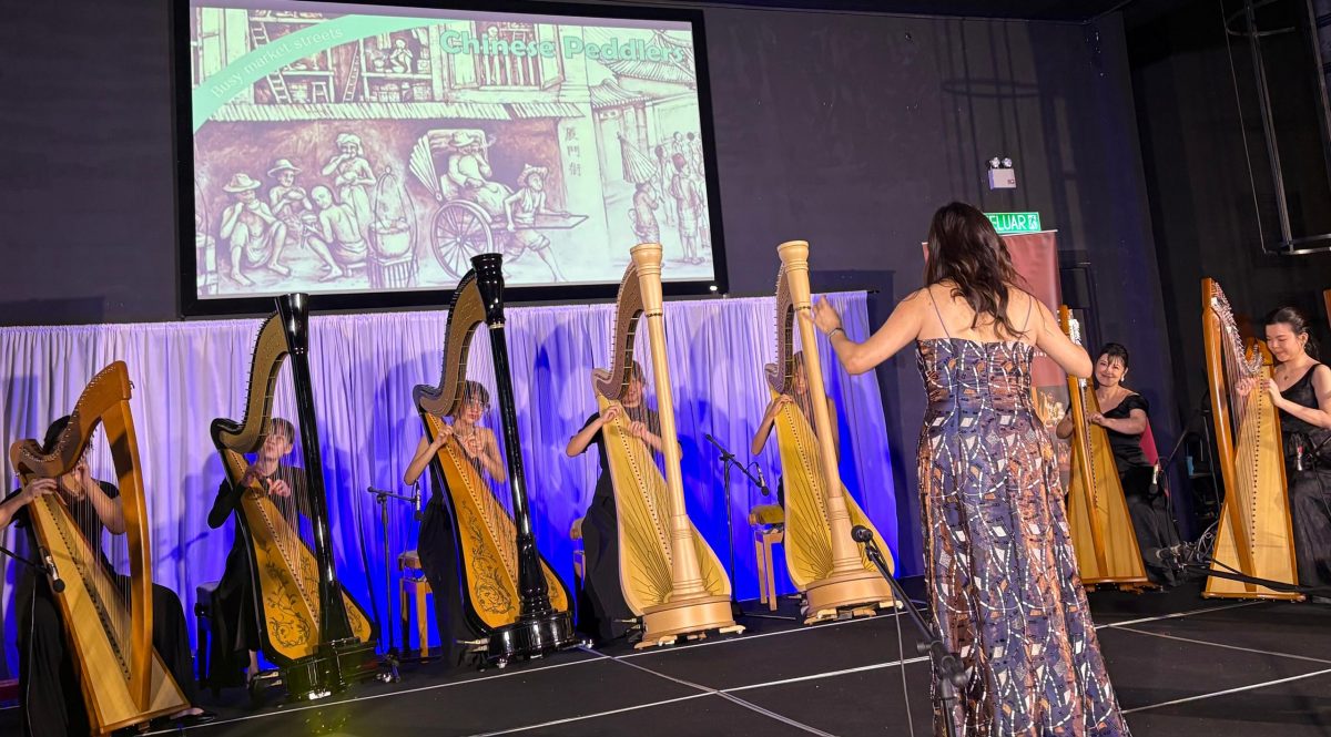 VIP文(大北马)北赖中央狮子会“竖琴余音” 如意之家儿童演出