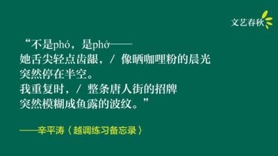 辛平涛/越调练习备忘录