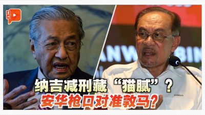 纳吉减刑藏“猫腻”？安华枪口对准敦马？
