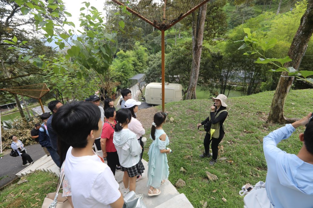15/8大都会-半岛心旅行：武来岸榴莲树下度假村／22图
