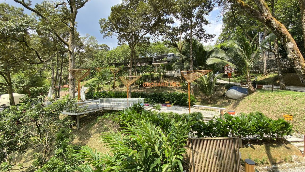 15/8大都会-半岛心旅行：武来岸榴莲树下度假村／22图