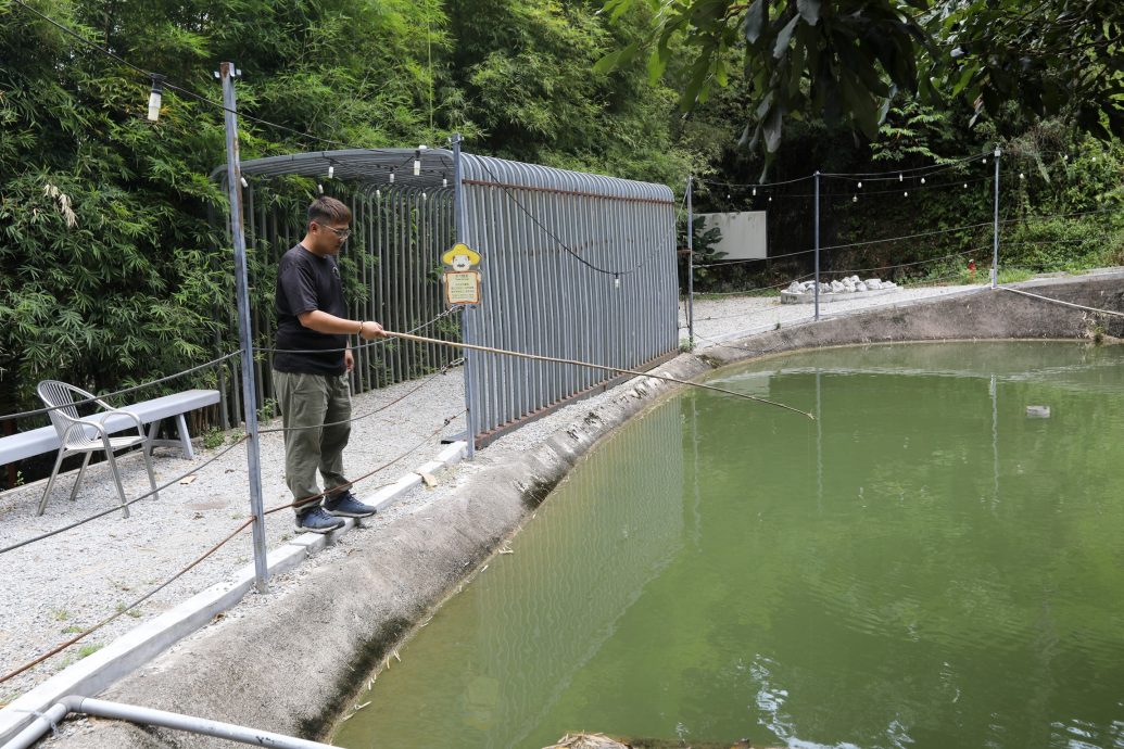 15/8大都会-半岛心旅行：武来岸榴莲树下度假村／22图