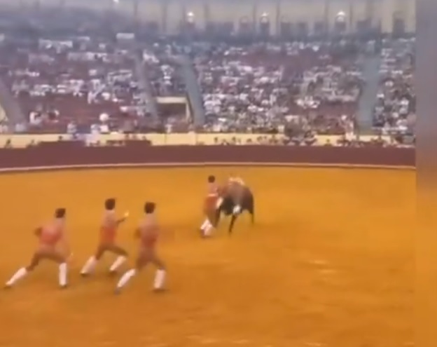 22岁斗牛士处女秀遭680公斤公牛撞飞惨死　7旬观众目睹吓到暴毙