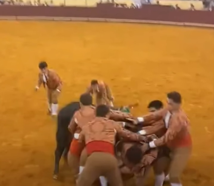 22岁斗牛士处女秀遭680公斤公牛撞飞惨死　7旬观众目睹吓到暴毙