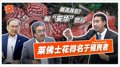 建议莱佛士花名“去殖民” 土团议员：改叫“安华”也行