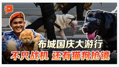 布城国庆大游行 不只战机 还有猫狗抢镜