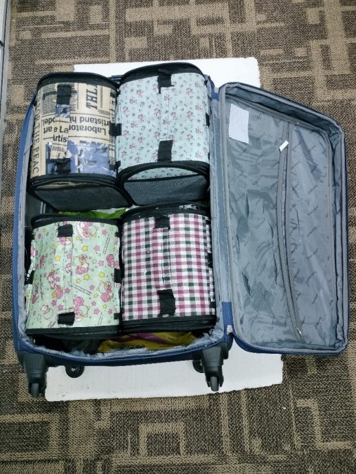 7个月破10野生动物走私案·AKPS捕12走私骡 救4958只珍稀动物