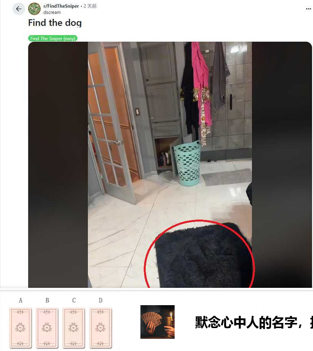 7秒找出隐藏的狗!视觉挑战疯传 网民直呼“太难了”