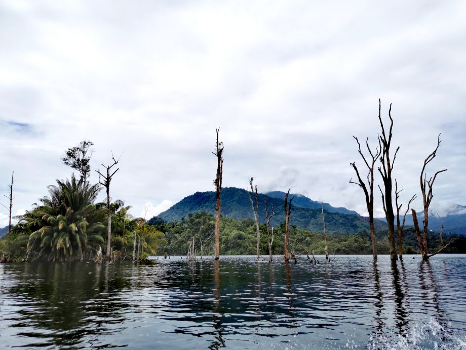 发现砂拉越:文莪水坝