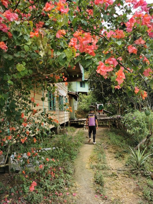 发现砂拉越:文莪水坝