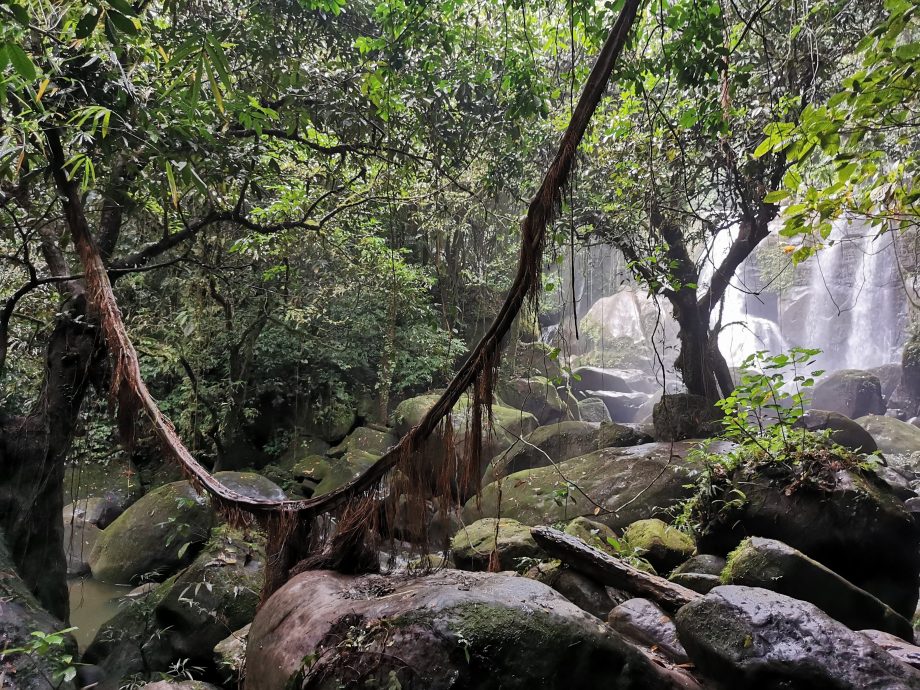 发现砂拉越:文莪水坝