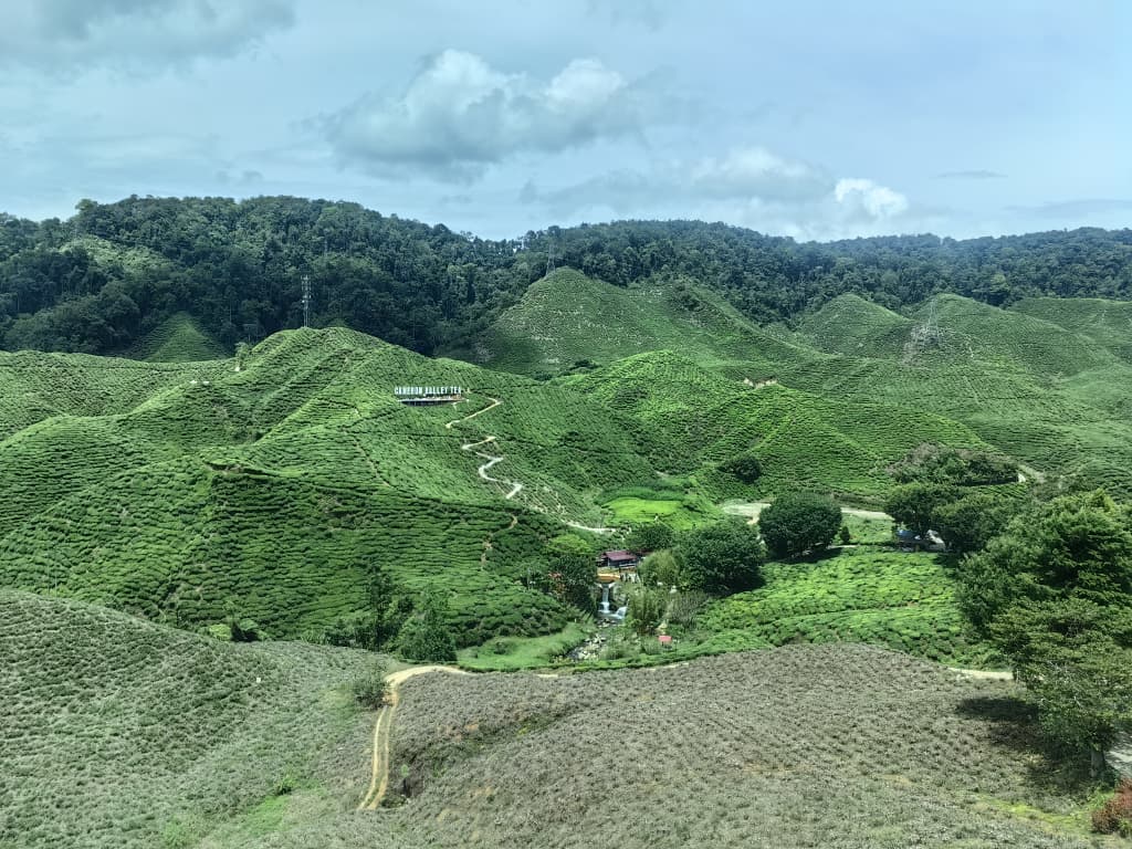 9月连假金马仑订房慢热 料最后两周才迎预订高峰