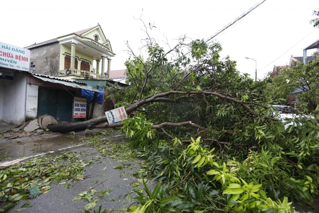 “剑鱼”袭越南3死13伤 树木倒塌阻碍救援进度