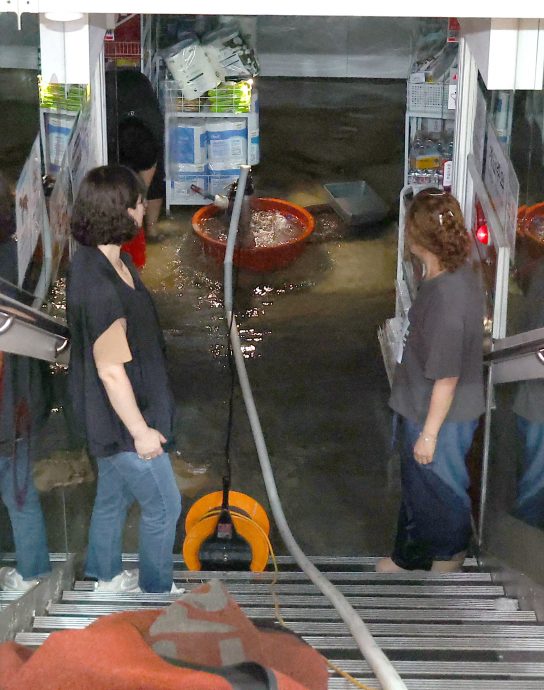 “极限暴雨”袭韩国首都圈 铁道淹水停驶