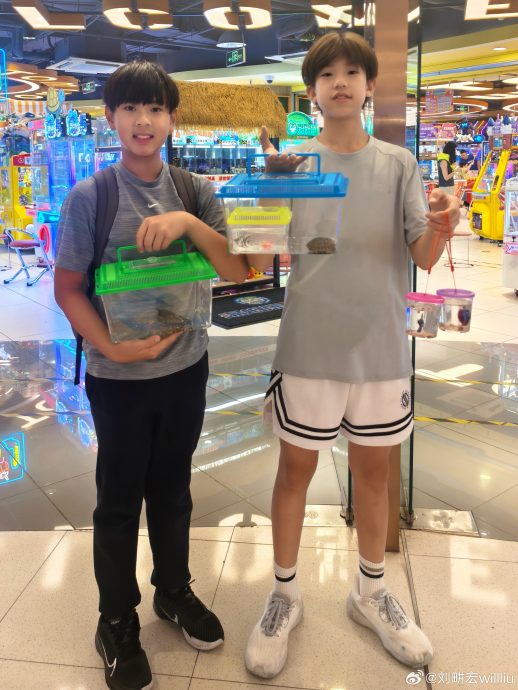 《爸爸去哪儿》3兄弟运动大比拼 刘畊宏忧被“修理”