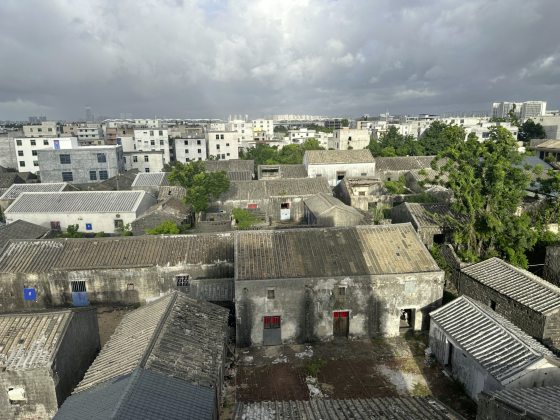 【中国】行走海南,一山一水一景一物,俯拾皆是美