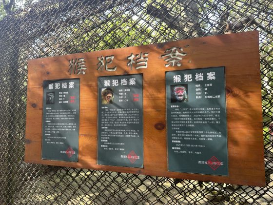 【中国】行走海南,一山一水一景一物,俯拾皆是美