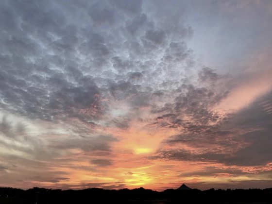 【国庆专题：送给国家的礼物／20】我想落实“资讯自由法”