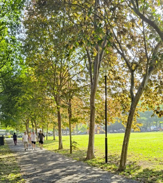 【国庆专题:送给国家的礼物/21】我想推全民免费体检