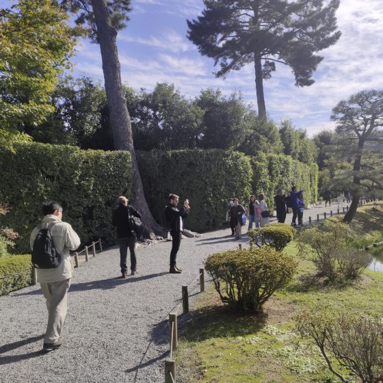 【日本】平等院：文化与自然的交融