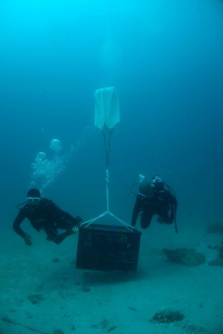 【焦点】水下考古（比东沉船）