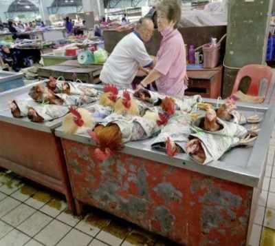 【砂拉越】诗巫，被拉让江包围的天鹅城