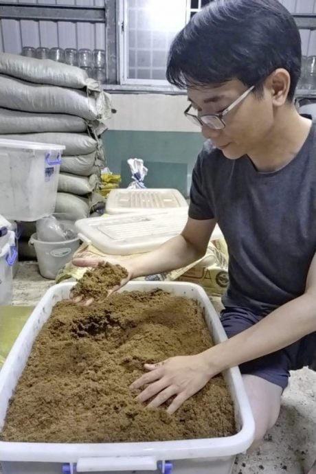 【虫虫世界／01】甲虫成新宠,台湾掀起养虫风潮