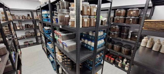 【虫虫世界／01】甲虫成新宠,台湾掀起养虫风潮