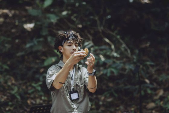 【虫虫世界/02】迷上甲虫,开启养虫保育之路