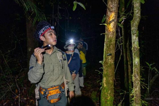 【虫虫世界/02】迷上甲虫,开启养虫保育之路