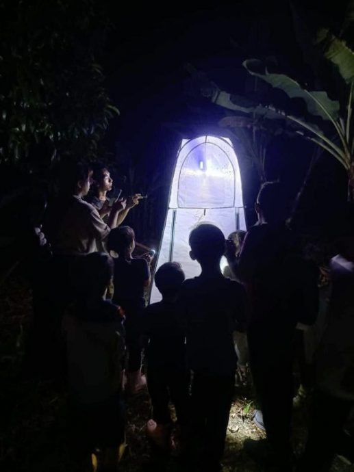 【虫虫世界/02】迷上甲虫,开启养虫保育之路