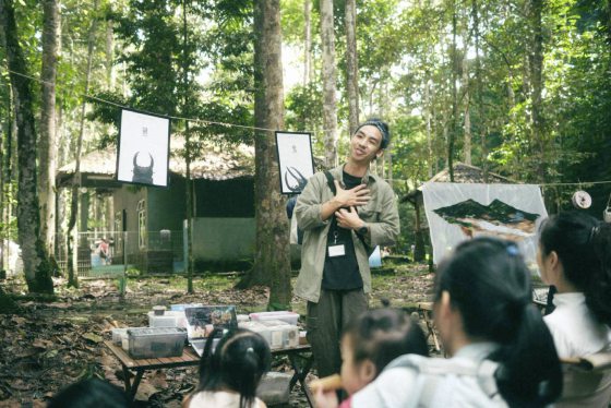 【虫虫世界/02】迷上甲虫,开启养虫保育之路