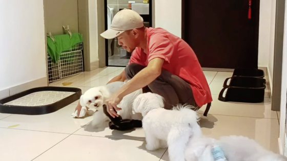 【非一般陪伴者／03】当主人外出，化身临时主人，照顾毛孩起居饮食──全职伴宠师程勇铧、吴雪儿