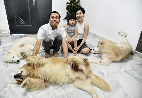 【非一般陪伴者／03】当主人外出，化身临时主人，照顾毛孩起居饮食──全职伴宠师程勇铧、吴雪儿