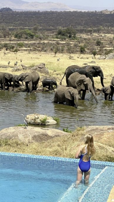 【非洲‧坦桑尼亚】等待中的奇观：塞伦盖蒂的生命长河