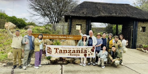 【非洲‧坦桑尼亚】等待中的奇观：塞伦盖蒂的生命长河